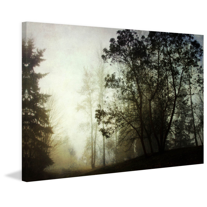 Wrapped Canvas Print, 101 cm H x 152 cm W x 3.81 cm D