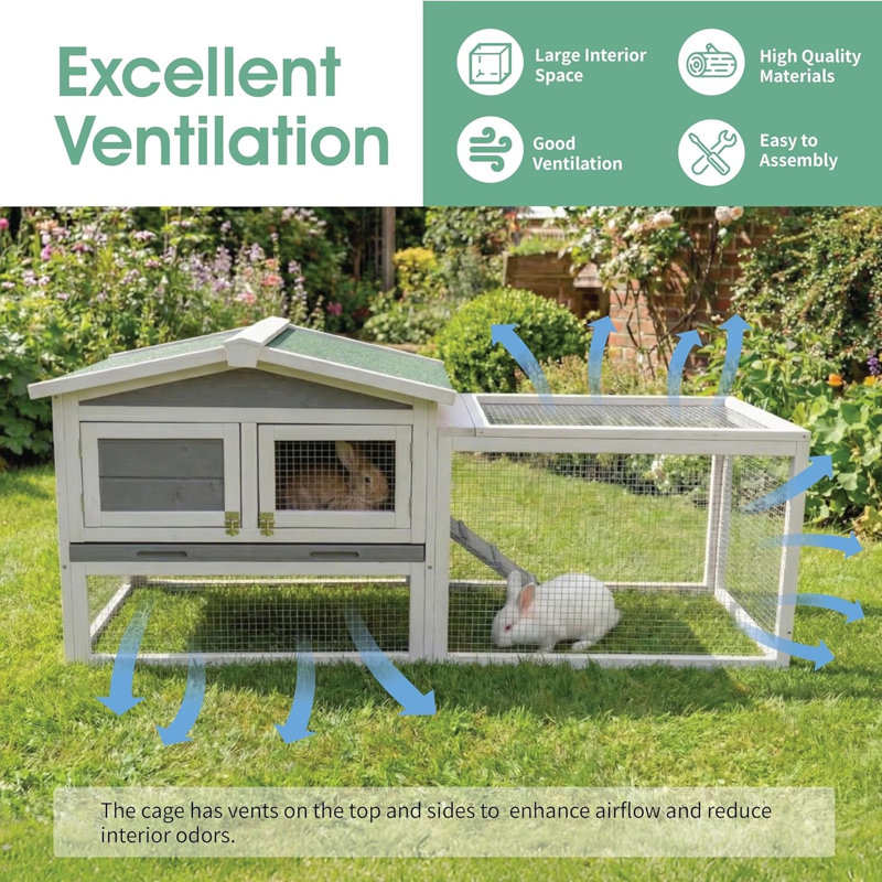 Rabbit Playpen