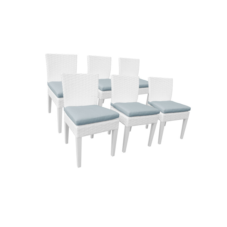 https://assets.wfcdn.com/im/38289067/resize-h755-w755%5Ecompr-r85/1387/138782546/Patio+Dining+Side+Chair.jpg