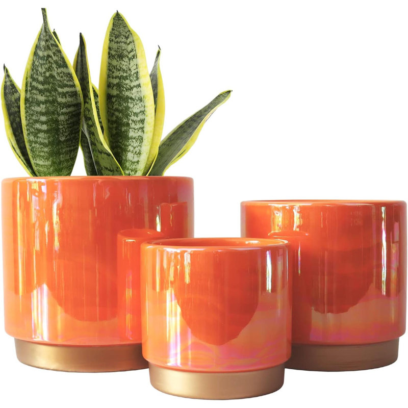 Pot à fleurs d'intérieur en céramique pour plantes Rainbow Pearl