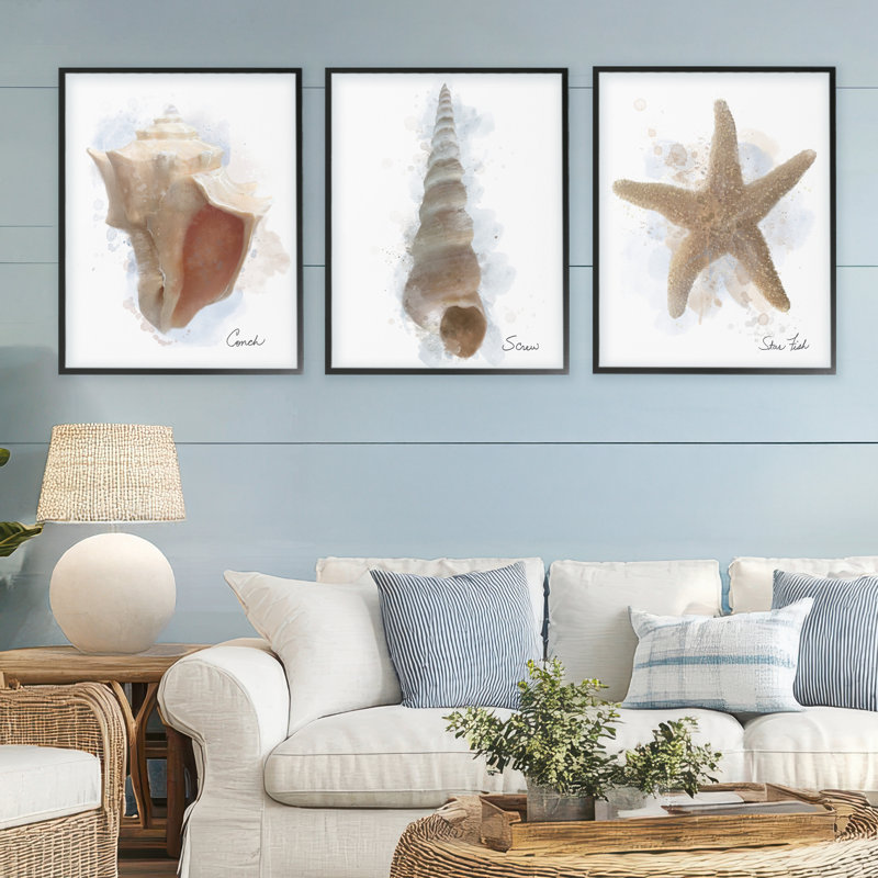 Ensemble de 3 giclées encadrées Honeybloom Coastal Seashells, par Matthew Piotrowicz, H 30 po x l 24 po