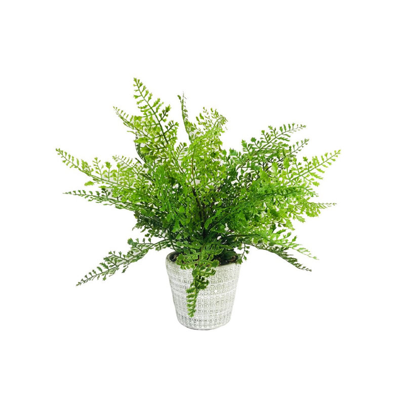 Fougère artificielle 9,5 po en pot