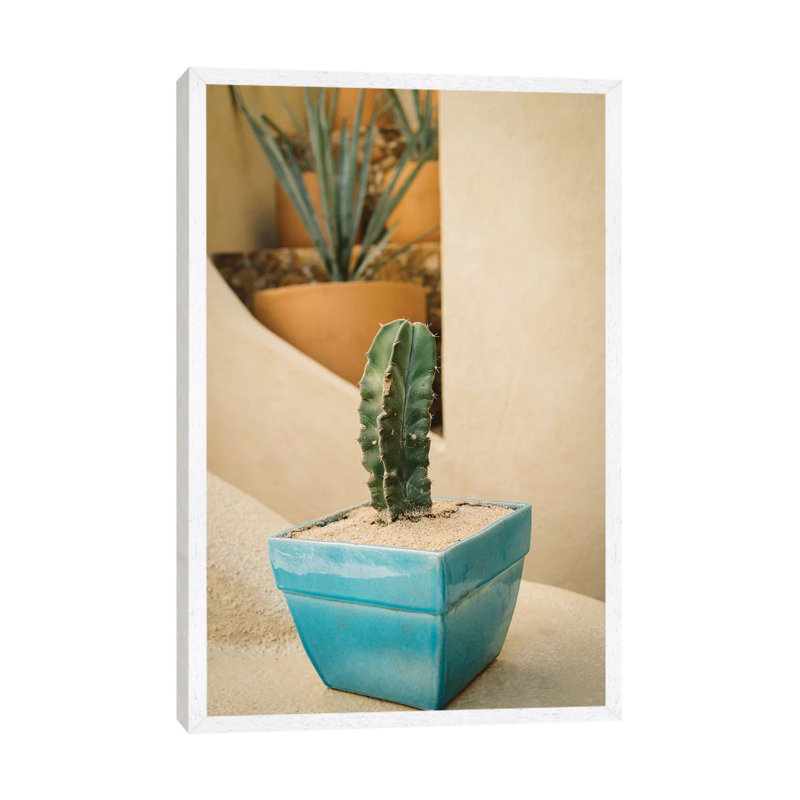 Cabo Cactus V by Bethany Young - Print on Canvas, White Framed, 66.04cm H x 45.72cm W x 3.81cm D