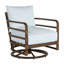 Malibu Swivel Patio Chair with Cushions-93646927-83259556