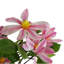 Plastic, Silk Magnolia Arrangement