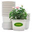 Nursery Pot-1745271307