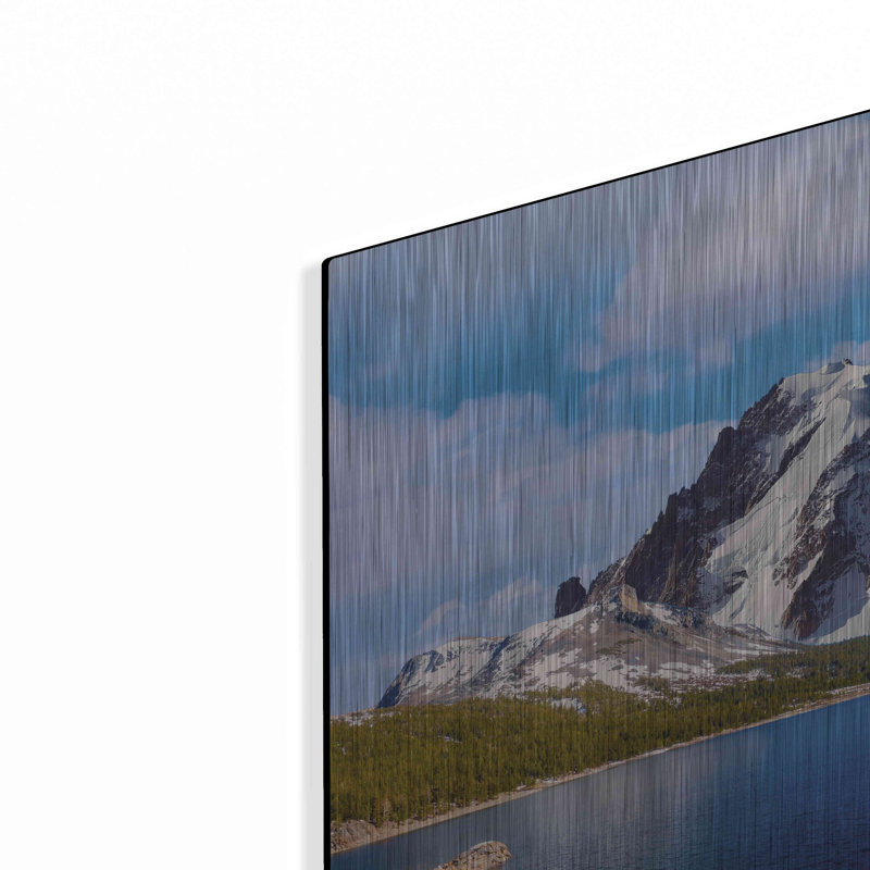 Luxe Metal Art 'Nature Collection 11' By Ata Alish " Nature Collection 11 " by Ata Alishahi, 48" H x 24" W x 0.2" D