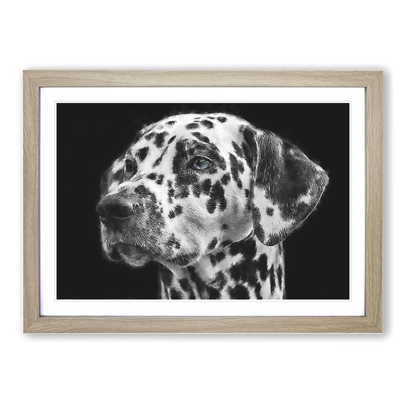 Dalmatian Dog - Picture Frame Painting, 27cm H x 36cm W x 2cm D, Oak Framed