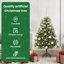 Artificial Hinged Christmas Tree with Cones-334923954-334923950