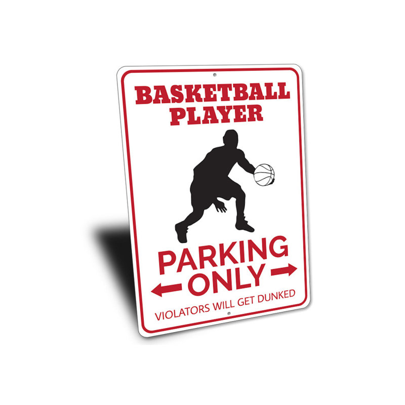 Panneau de basketball en aluminium, H 18 po x l 12 po x P 0,06 po