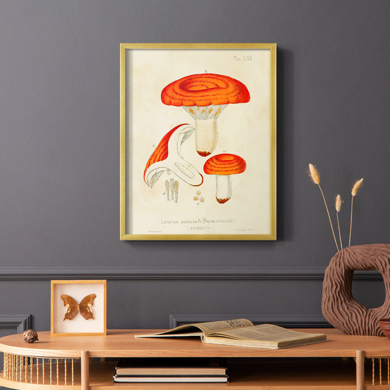 «Mushroom Variétés», reproduction encadrée en bois massif, Or, H 14 po x l 11 po