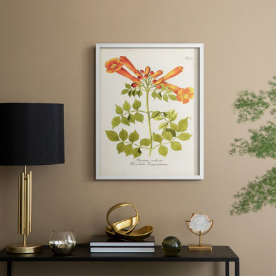 «Tropical Trumpet Flowers III», reproduction encadrée - bois massif