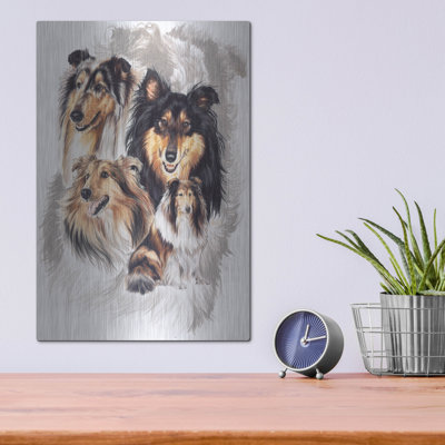 " Collie " by Barbara Keith