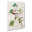 Bay-breasted Warblers From Birds by John Audubon - Wrapped Canvas-55363322