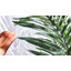 Palmier artificiel doré 6 pi avec pot en plastique noir, plante tropicale artificielle pour la décoration intérieure et extérieure, palmier artificiel résistant aux rayons UV
