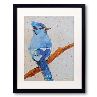 Blue Jay Print by Phyllis Adams