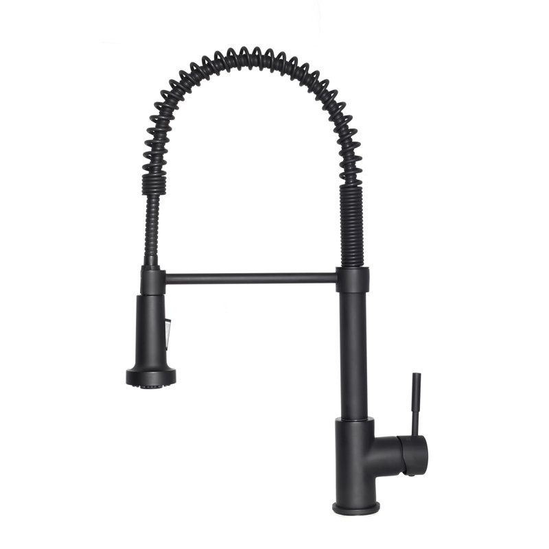 ZLINE Apollo Kitchen Faucet, Matte Black