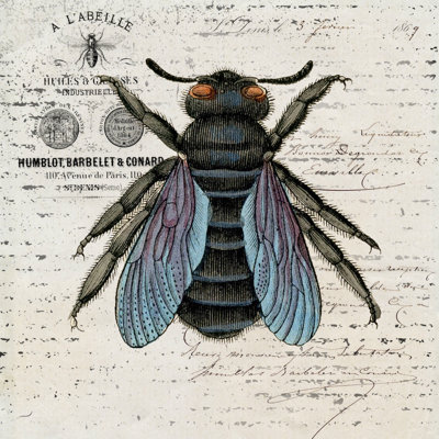 History Bee II by Karen Smith - Wrapped Canvas Print