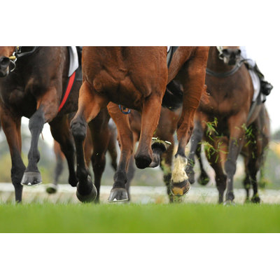 Horse Racing Action by Quentinjlang - Wrapped Canvas Print