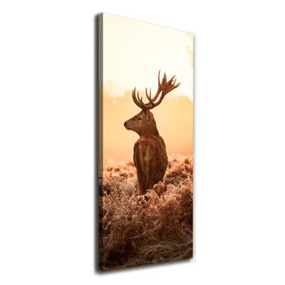 Deer Sunrise - Wrapped Canvas Print