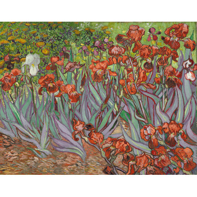 Décalcomanie murale amovible irises de van gogh