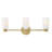 3-Light Bath Vanity Fixture-1673145297