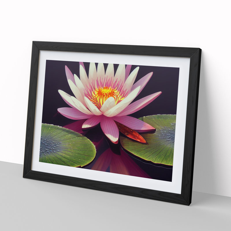 Charming Water Lily Flower - Single Picture Frame Painting, Black, 46cm H x 64cm W x 2cm D