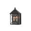 Ripley Outdoor Wall Lantern-19994848-89012559