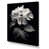 Wrapped Canvas is unavailable