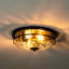 Raiven Clear Glass Flush Mount