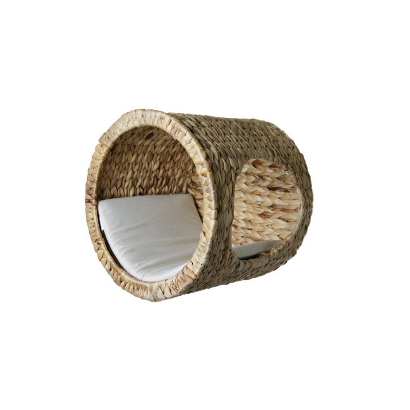 Rocio Nest/Cave