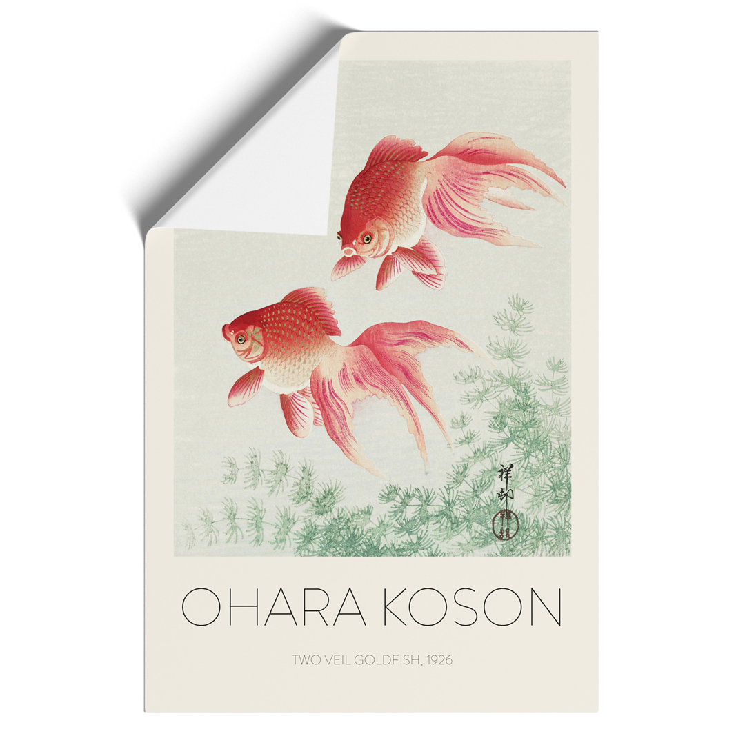 Two Veil Goldfish Print by Ohara Koson - Frameless Print