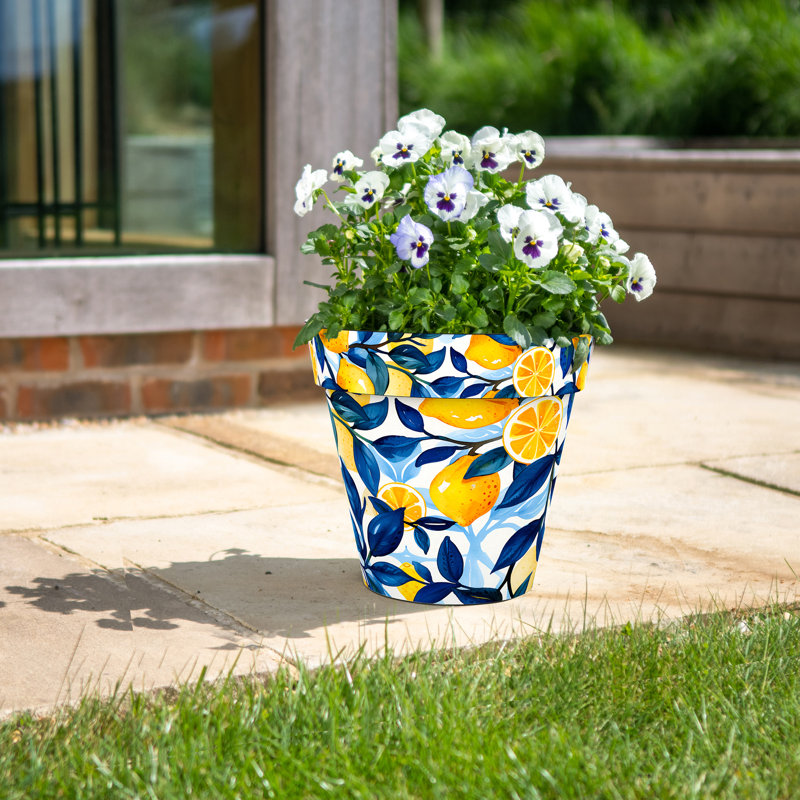 Ayotte Handmade Pot Planter, 13.78cm H x 38cm W x 14.96cm D