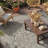 Oriental Medallion UV Resistant Woven Indoor / Outdoor Area Rug Tan-226571292-227928348