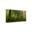 Art sur toile «ologicolog »-109335567