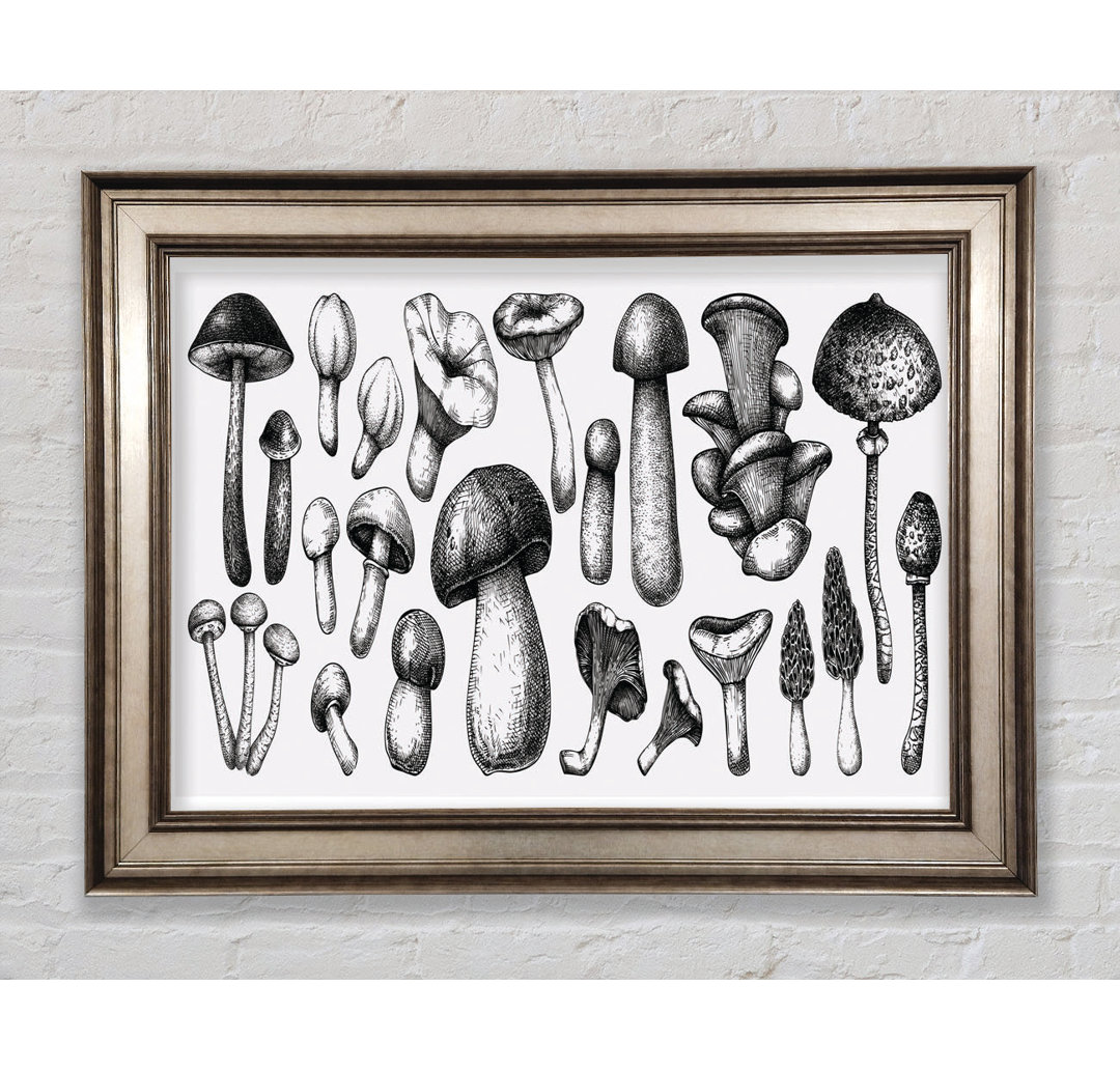 The Toadstool Collection - Einzelne Bilderrahmen Kunstdrucke