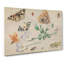 Butterflies And Insects Vol.2 by Jan Van Kessel - Wrapped Canvas Painting-61848276