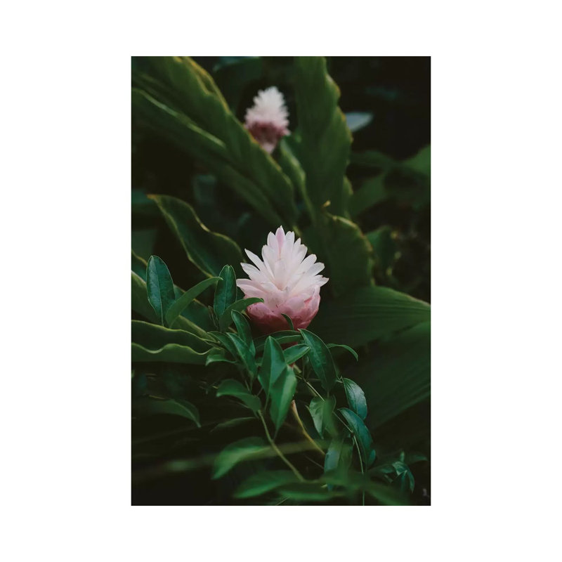 Tropical Hawaii IX by Bethany Young - Print on Canvas, 152.4cm H x 101.6cm W x 3.81cm D, Wrapped Canvas