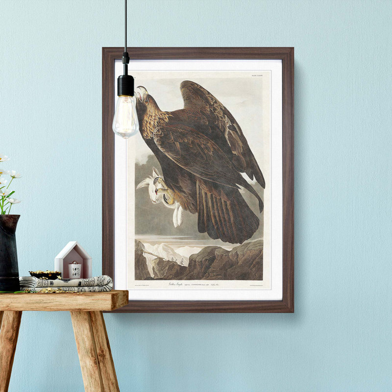 Golden Eagle by John James Audubon - Picture Frame Painting Print, 36cm H x 27cm W x 2cm D, Walnut Framed