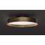 Berlin 4 - Light Semi Flush Mount