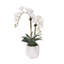 Real Touch Phalaenopsis Orchids in White Dimensional Pot-1195572953