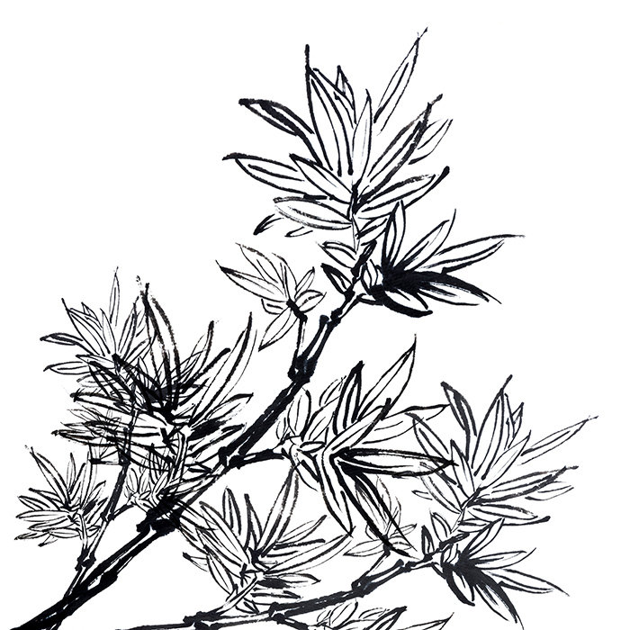 Kinlea Matte Peel & Stick Mural, 250 x 104cm