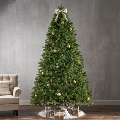 Spruce Christmas Tree