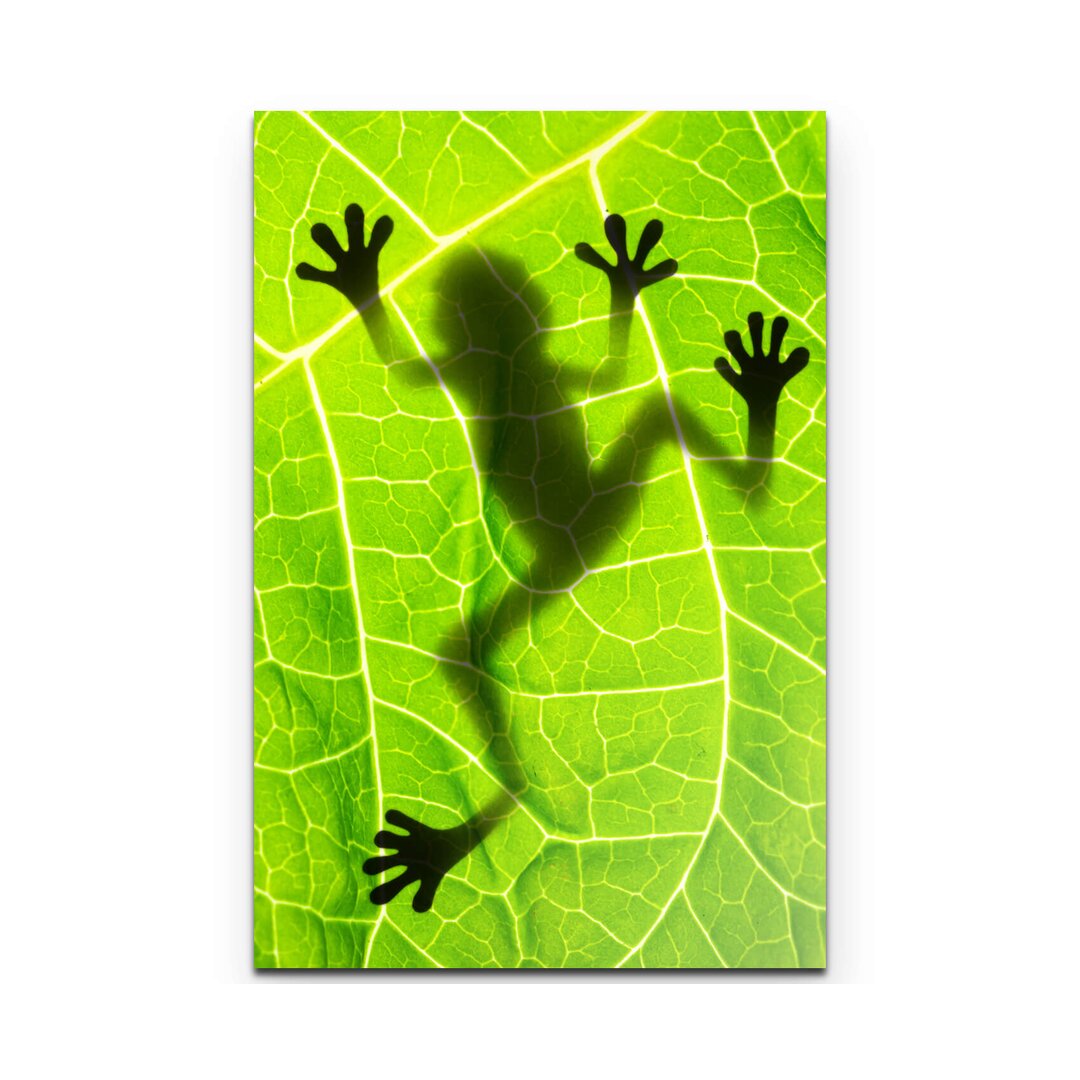 Leinwandbild Froschschatten auf einem Blatt