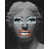 Image Brush Gel selected