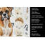 Torchon Boxer-1234934615