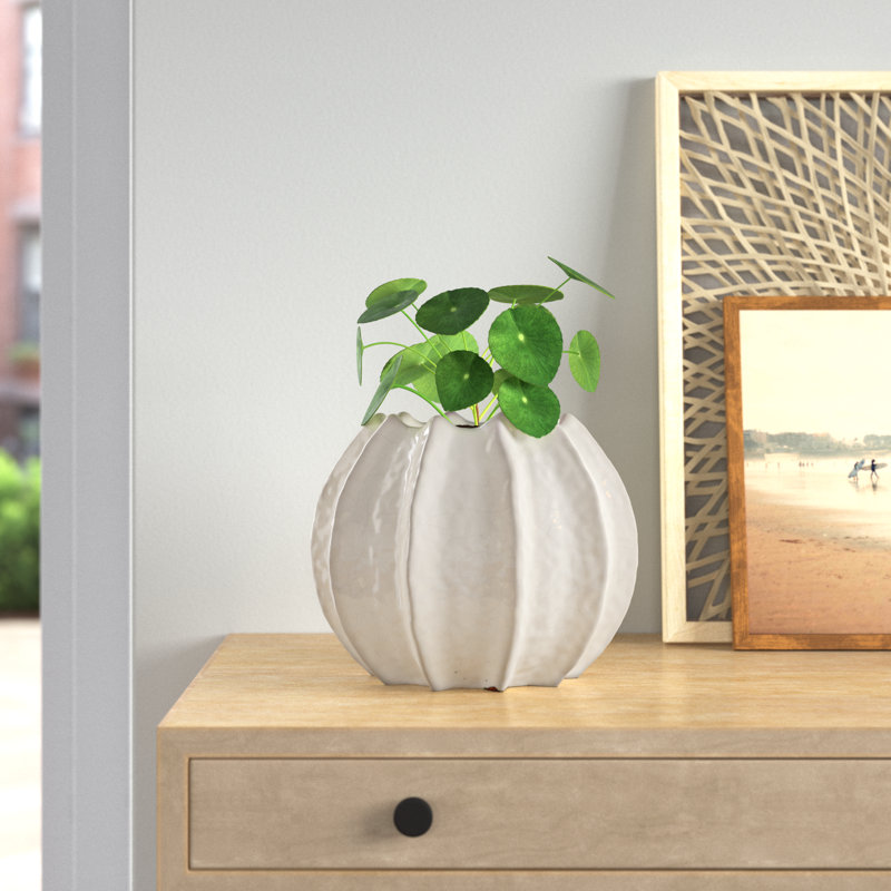 Chenery Sea Urchin Pot Planter, 5.75" H x 9" W x 9" D