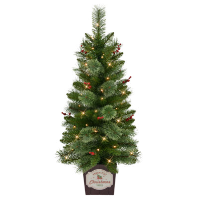 Set of 2 Artificial Cashmere Pre-Lit Battery-Operated Potted Christmas Trees with Berries