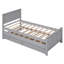 Lit plateforme simple avec lit gigogne et tiroirs-1254044319