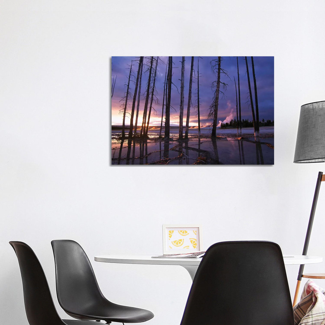 Dead Trees In Lower Geyser Basin At Sunset, Yellowstone National Park, Wyoming by Tim Fitzharris - Gallery-Wrapped Canvas Giclée on Canvas